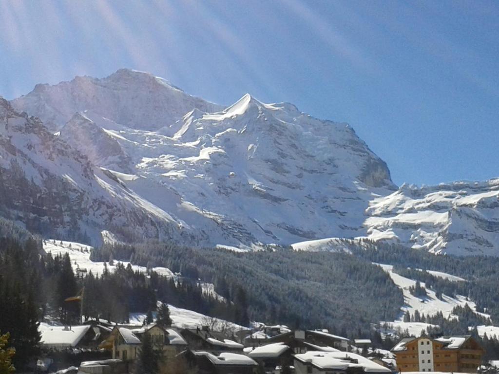 Hotel Berghaus Wengen Kültér fotó